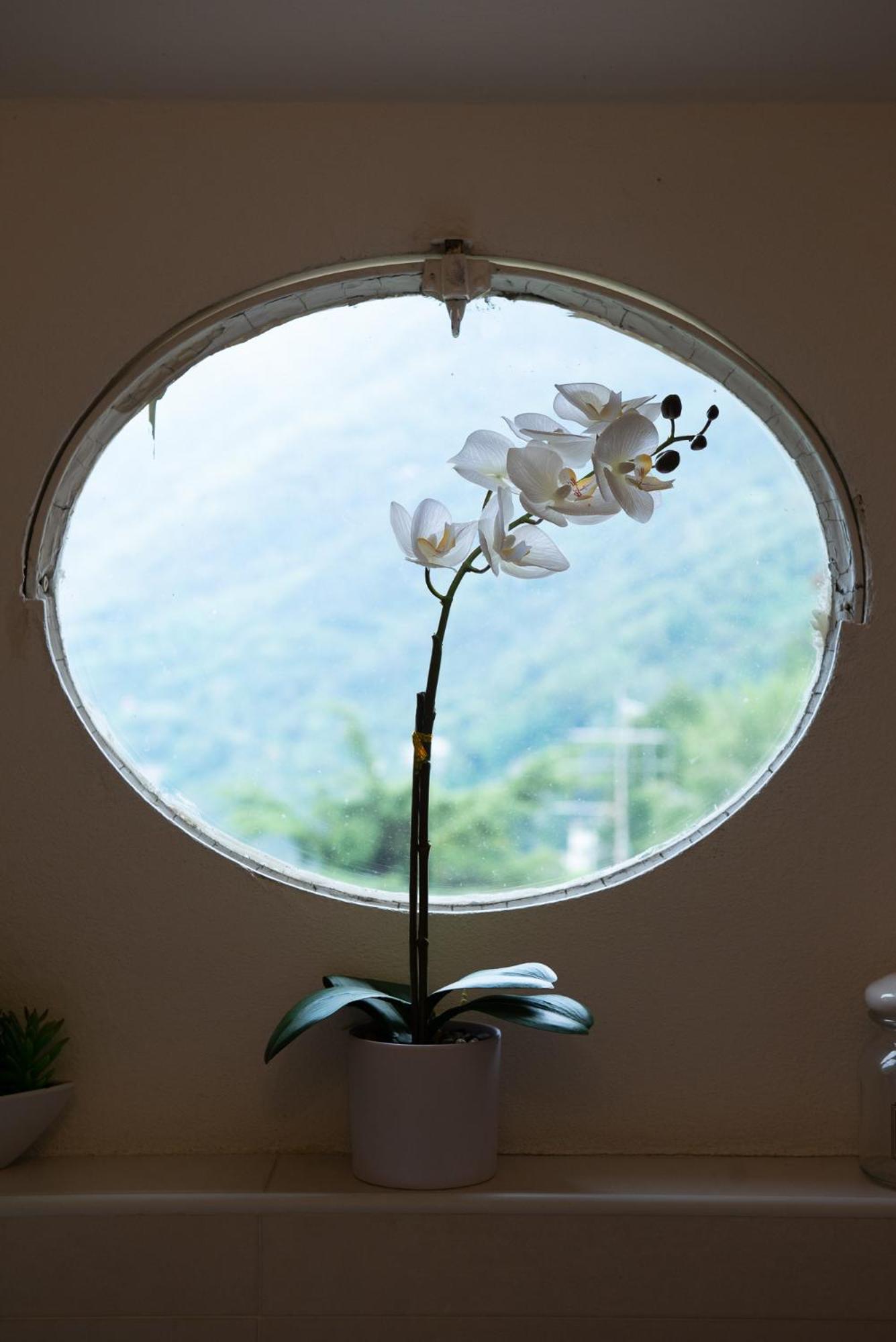 Appartamento "Bella Vista" Sul Lago Di Como Faggeto Lario Bagian luar foto